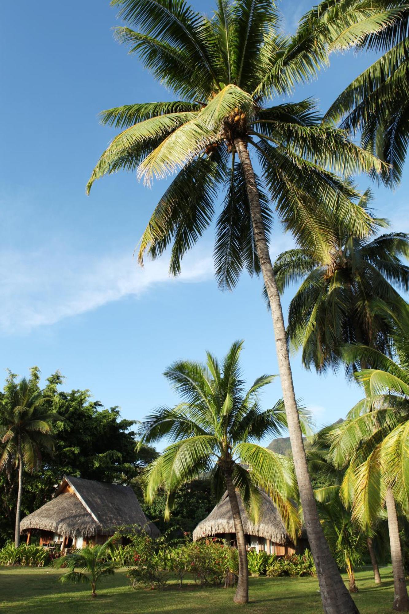 Sofitel Kia Ora Moorea Beach Resort Maharepa  Eksteriør billede